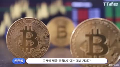 현성 신 홍보