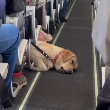 Good night everyone! 😴