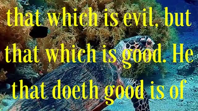 BIBLE VERSE FOR THE DAY... Beloved, follow not that which is evil, but that which is good.