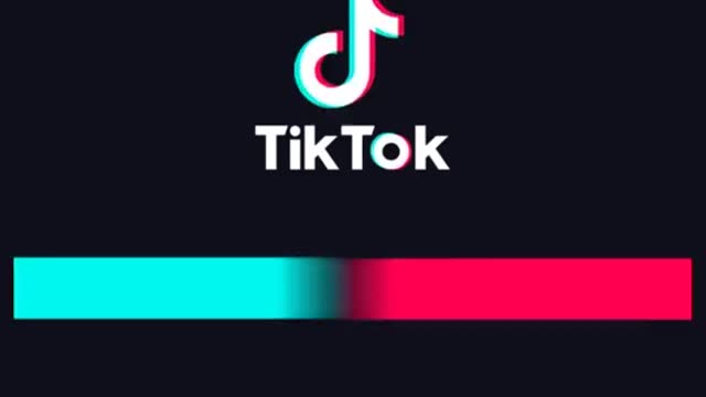 Perros tiktok