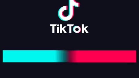 Perros tiktok