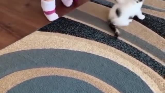 أيهم القط ؟ #short