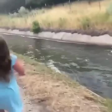 A poor baby deer had fallen into a canal in North Ogden