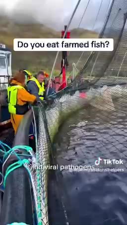 Must Watch if you have been eating farmed(pharmed) fish. 💉