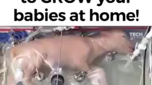 They want you to GROW your babies at home