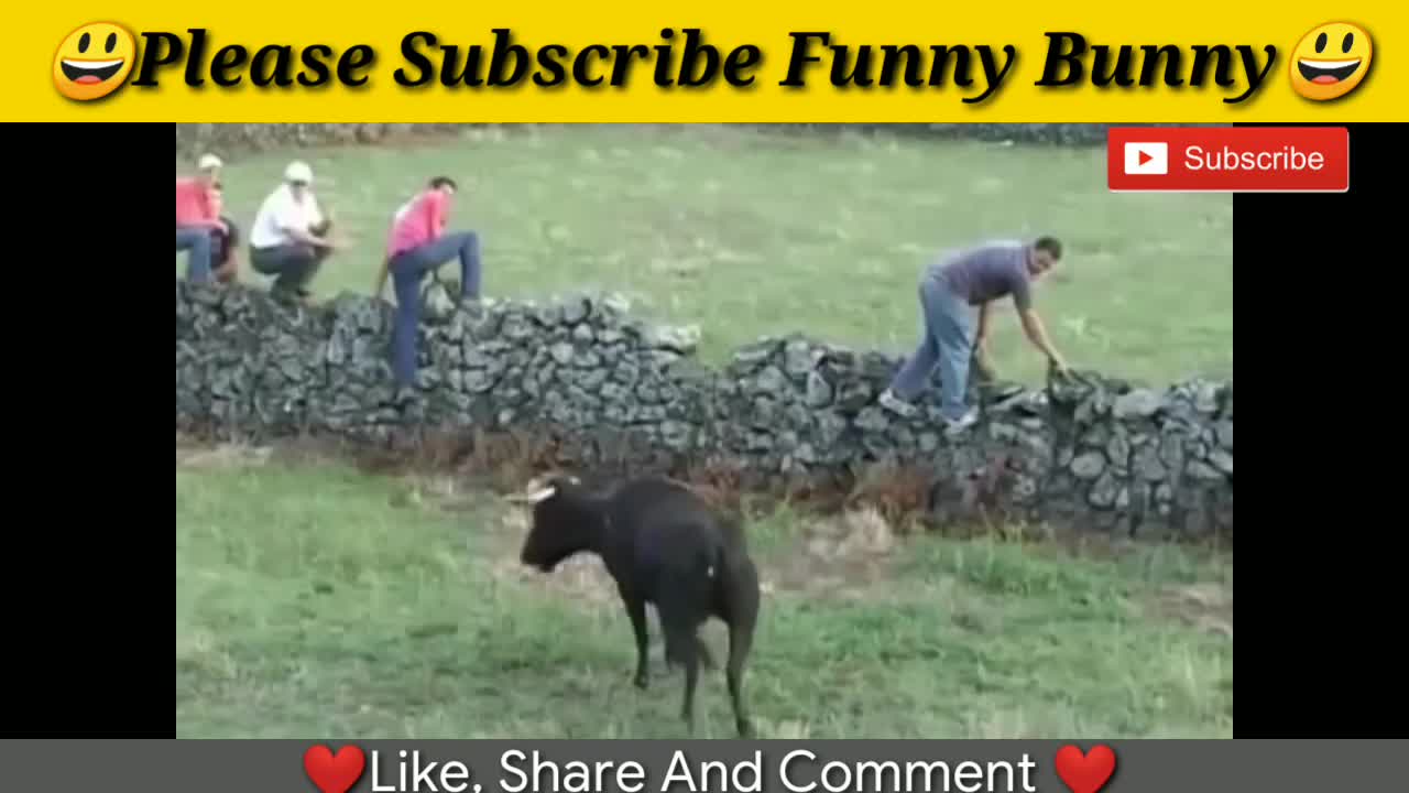 The Best and Funniest Compilation Video.😂🤣😃😂