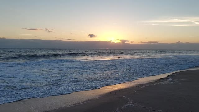 Waves and Birds on a January Morning at Vero Beach, FL