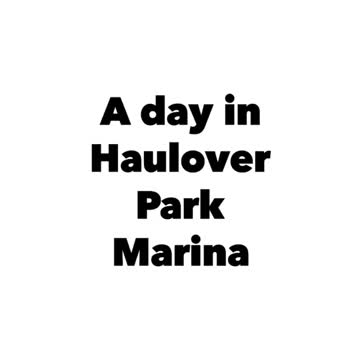 Relaxing day in north beach