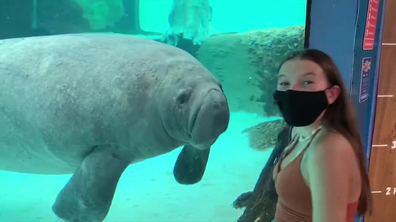 Funny Baby at the Aquarium