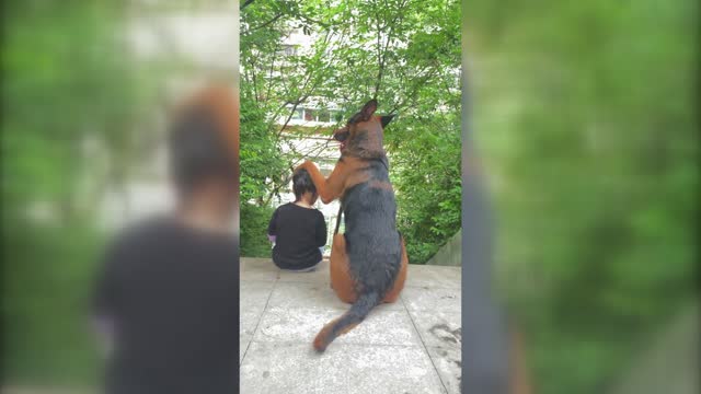 little girl and her dog friend