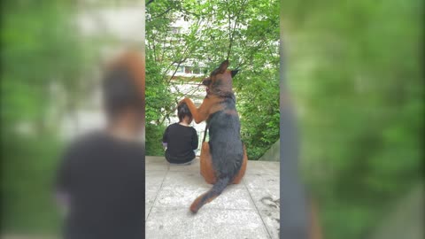 little girl and her dog friend