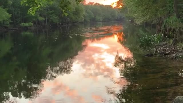 Ginnie springs FL camping