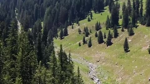 A Beautiful Meadow in Pakistan 🇵🇰