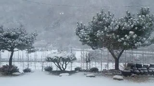 Snow on rural area