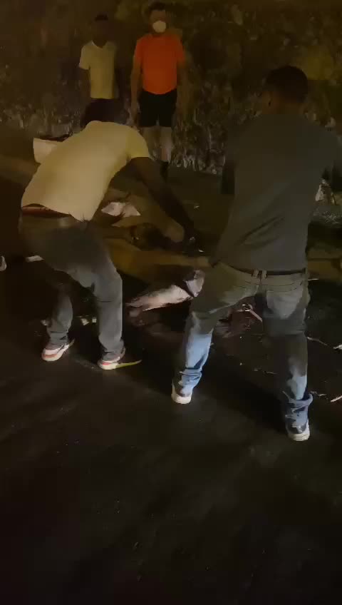 Caída de caballo cochero en el Centro