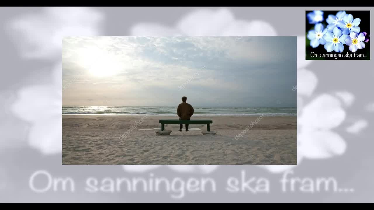 Ensam är inte stark - Bernt Herlitz