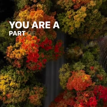 You are a part of His message of love to the world.