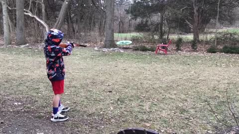 BB gun shots