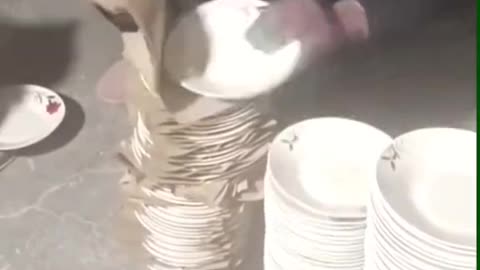 DL Panda Viral Videos On Internet