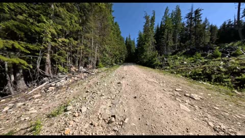 Yard Creek FSR (Malakwa B.C.) 0km to 19km