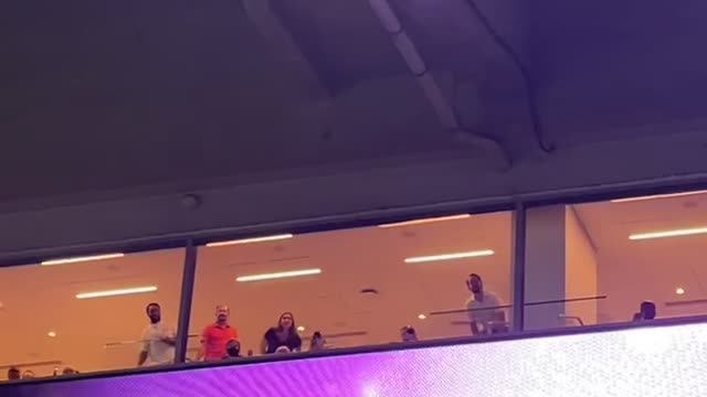 Cat Falls From Stadium's Upper Floor