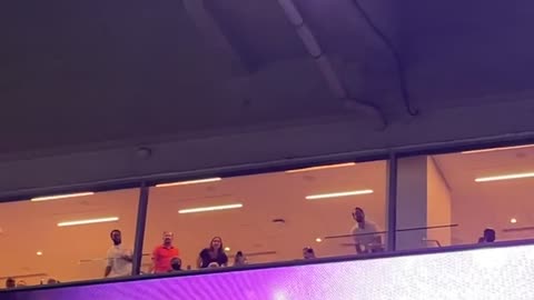 Cat Falls From Stadium's Upper Floor