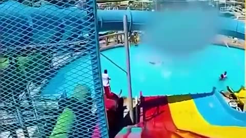 Best funny videos