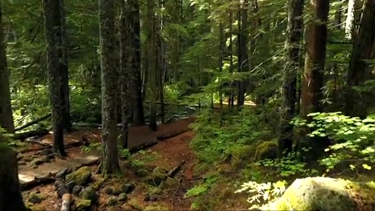 Beauty nature