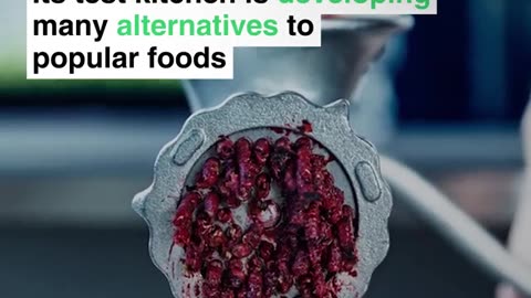 WEF: Ikea’s iconic meatballs could get a new ingredient... Mealworms!