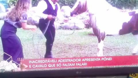 treinando cavalo pt5