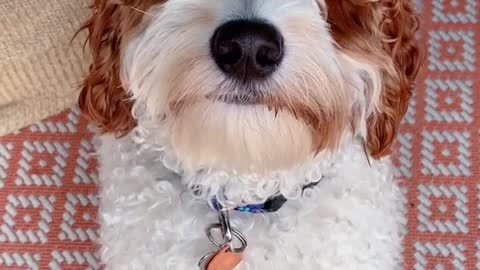 Came back feeling nakie 🙈