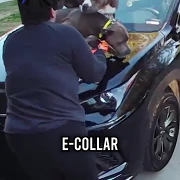 Hope That Buffs Out…