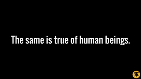 Number one trait of alphas