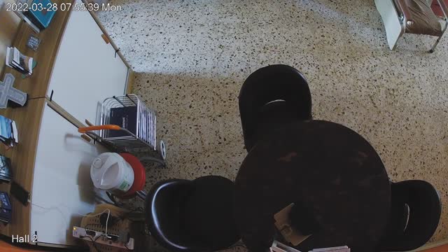 hallmid midnight 20220328