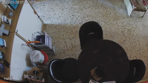 hallmid midnight 20220328