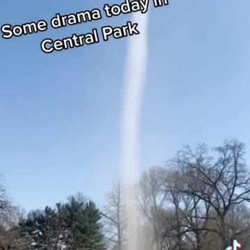 What the what? Central Park | NY