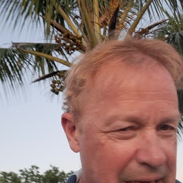 "Meat Head" the big alligator in the Naples, Florida Everglades.12/28/23