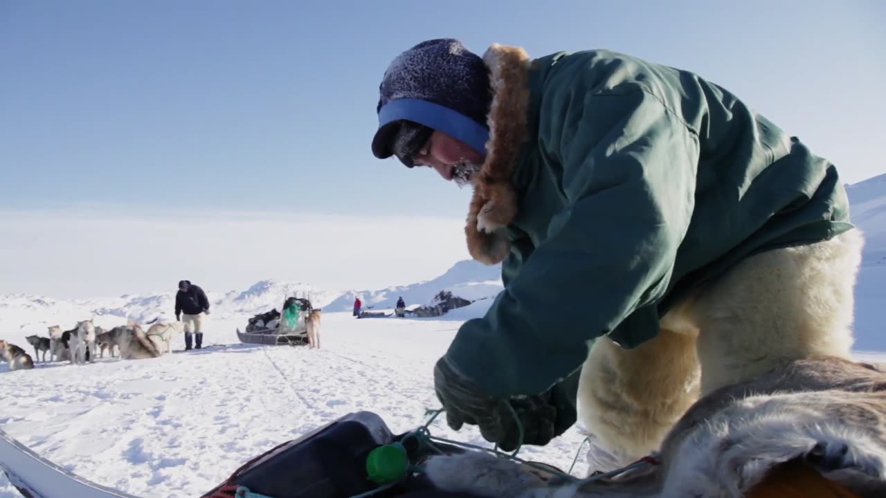 dog sledding in greenland