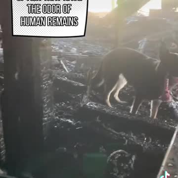 Myth Busting-Common Hiding places