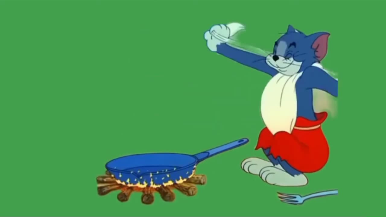 Tom and jerry funny catroon