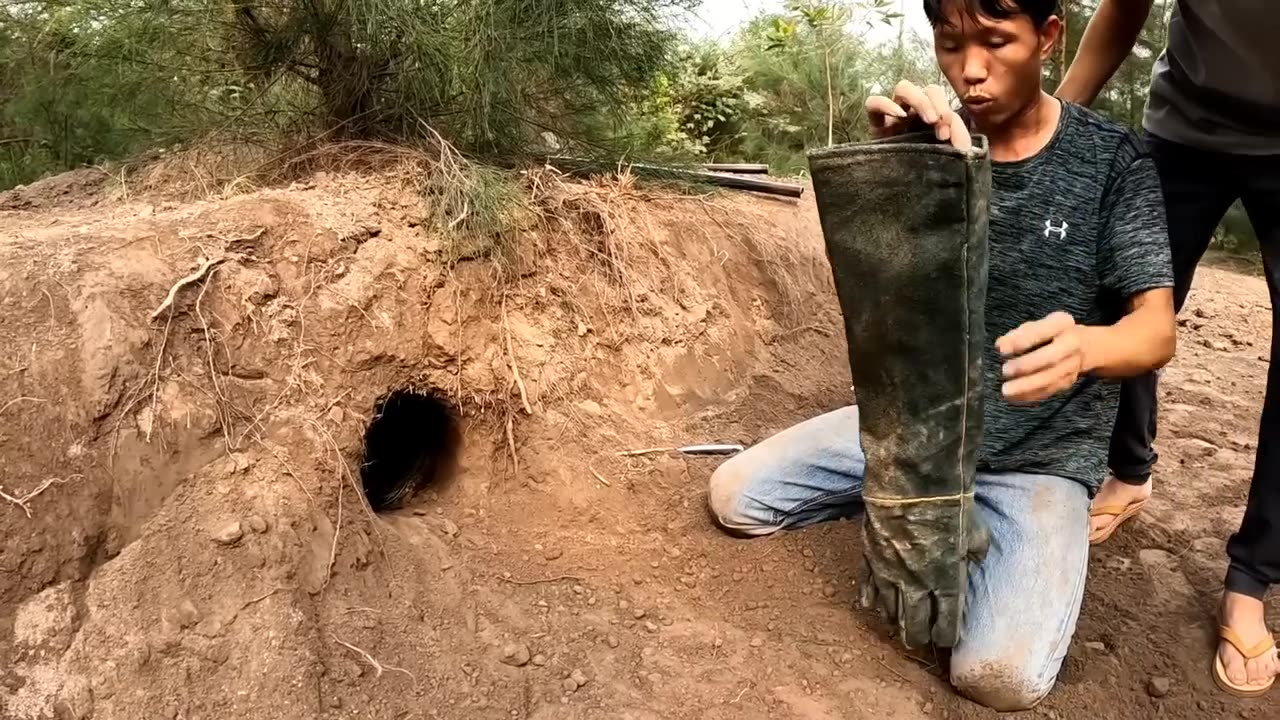 Catch 100 Extremely Poisonous Black Gold Snakes With Bare Hands