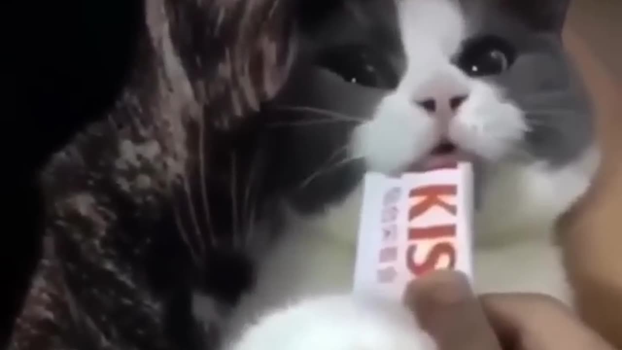 Memes that will make you lol part 10