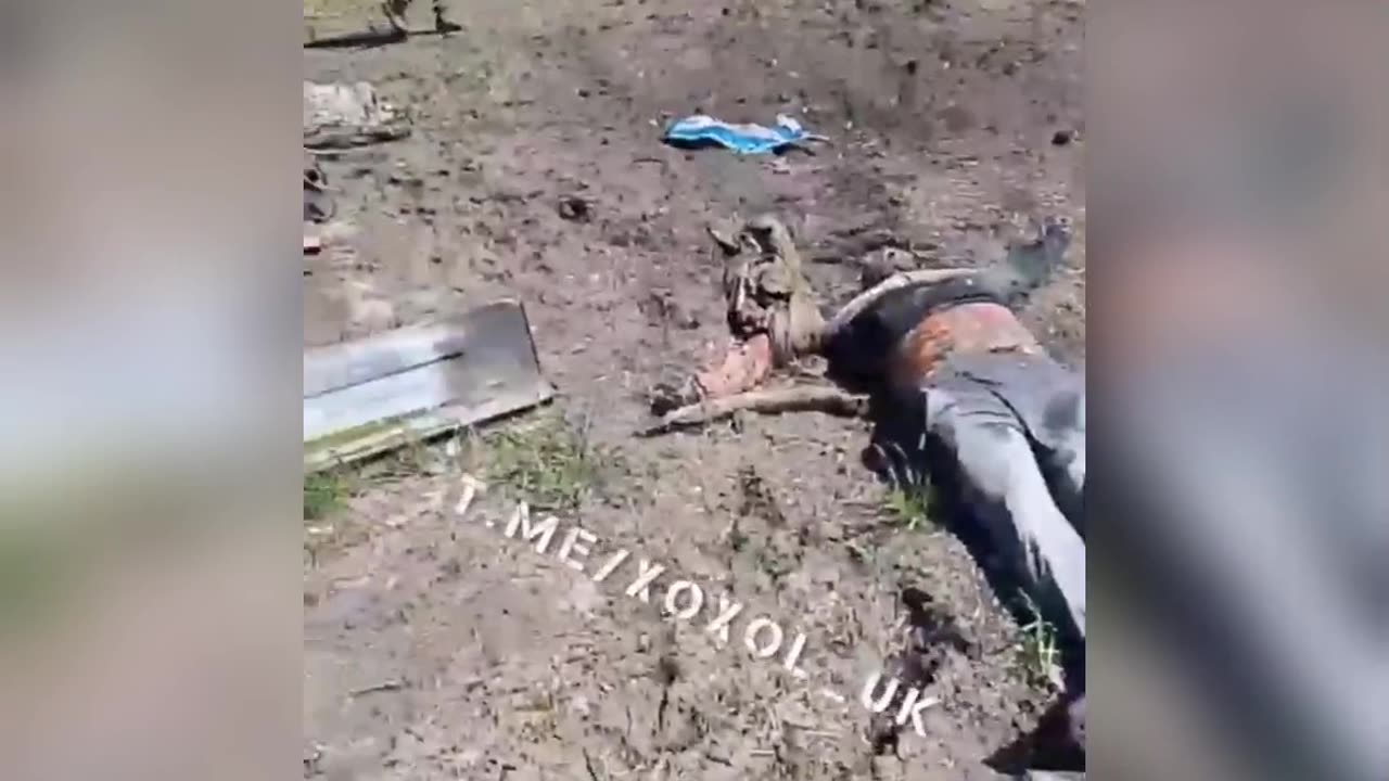 More dead ukraine soldiers