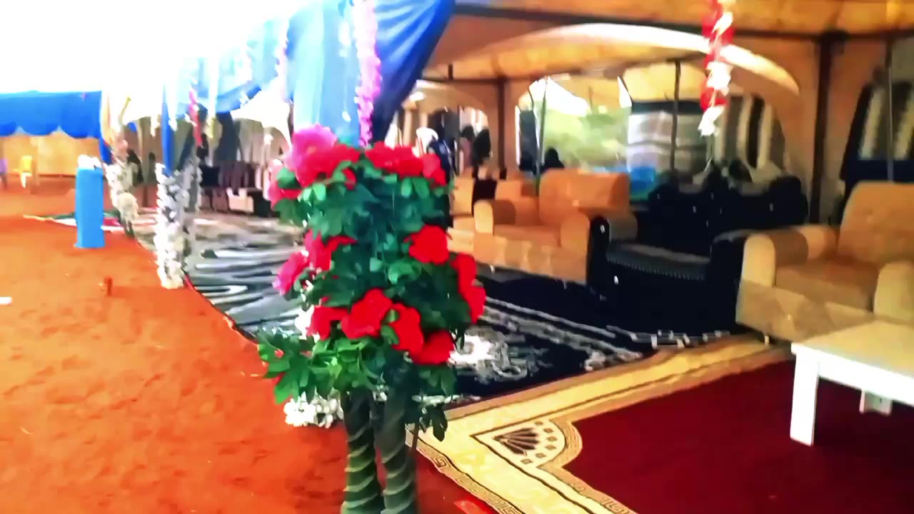decortions