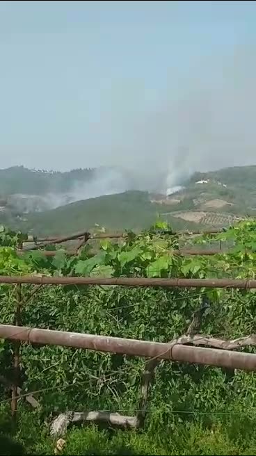 Rindizet zjarri në pyllin me pisha e dushqe në Peshtan