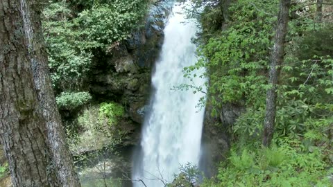 Waterfall in the woods Forest video