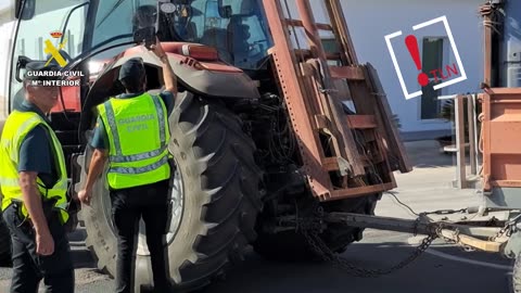 Intervenidas en Sevilla más de 91 toneladas de aceitunas y 400 litros de aceite con etiquetado falso