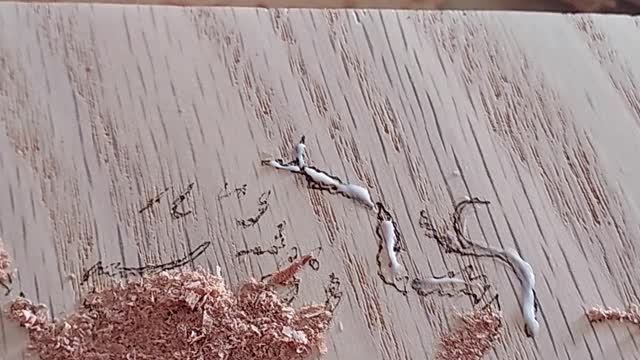 Making the Yggdrasil