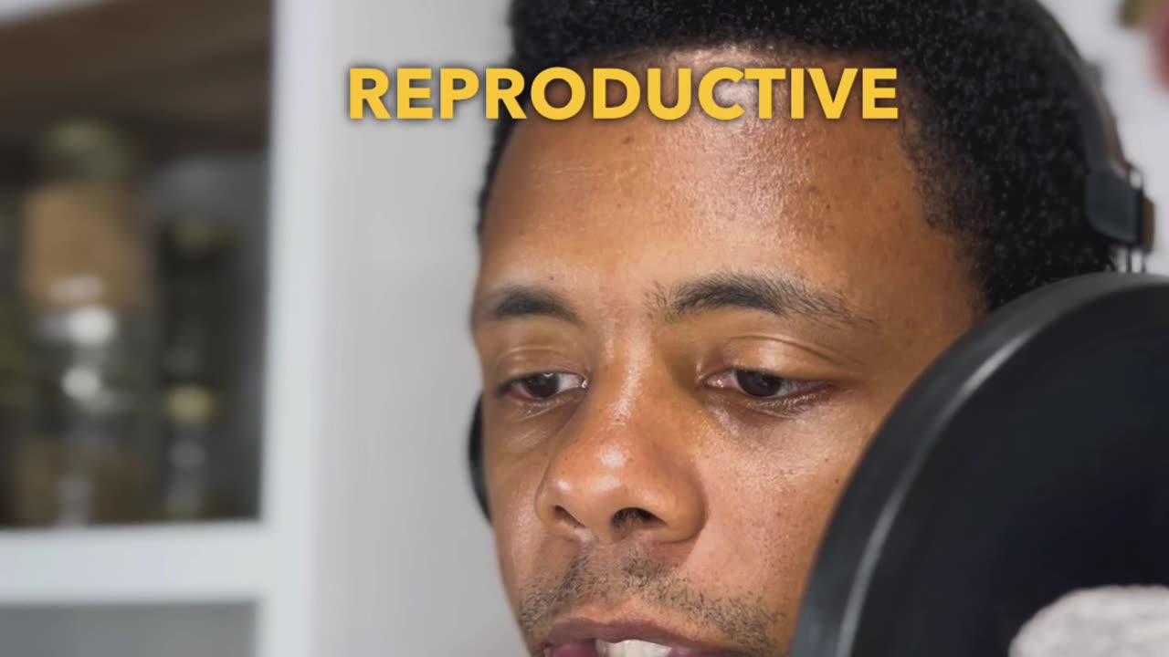 Herb - Vitex Berries