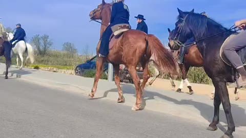 Horse ride 👍🏻👍🏻😍😍💋